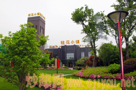 图为桂花小镇项目实景图 图为桂花小镇项目实景图