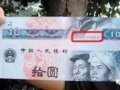 ���ʹ��泮��ԭ������ô�ó����ġ���