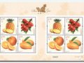 14�շ��С�ˮ��������Ʊ���ڽ��ס�С���������ۡ���Ʊ��5��;����������Ӣ�ۡ���Ʊ�ᡸҡ�š�������ʼ