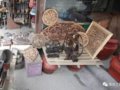 ũ����Щ�������������ֵǮ���еļ�ֵ��ʮ��