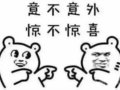һ��ʼû�˿��õĸ����ҿ�ʼ������