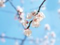 ʫУһ죡