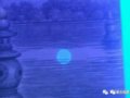 ��һ�����ӡ��ר���ַ��ֵ���ν991�°汾