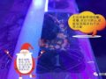 ��ʲô��961�����òʣ���ô��ʶ��961���òʣ���
