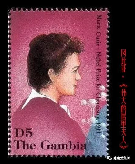小马摇摇分割线