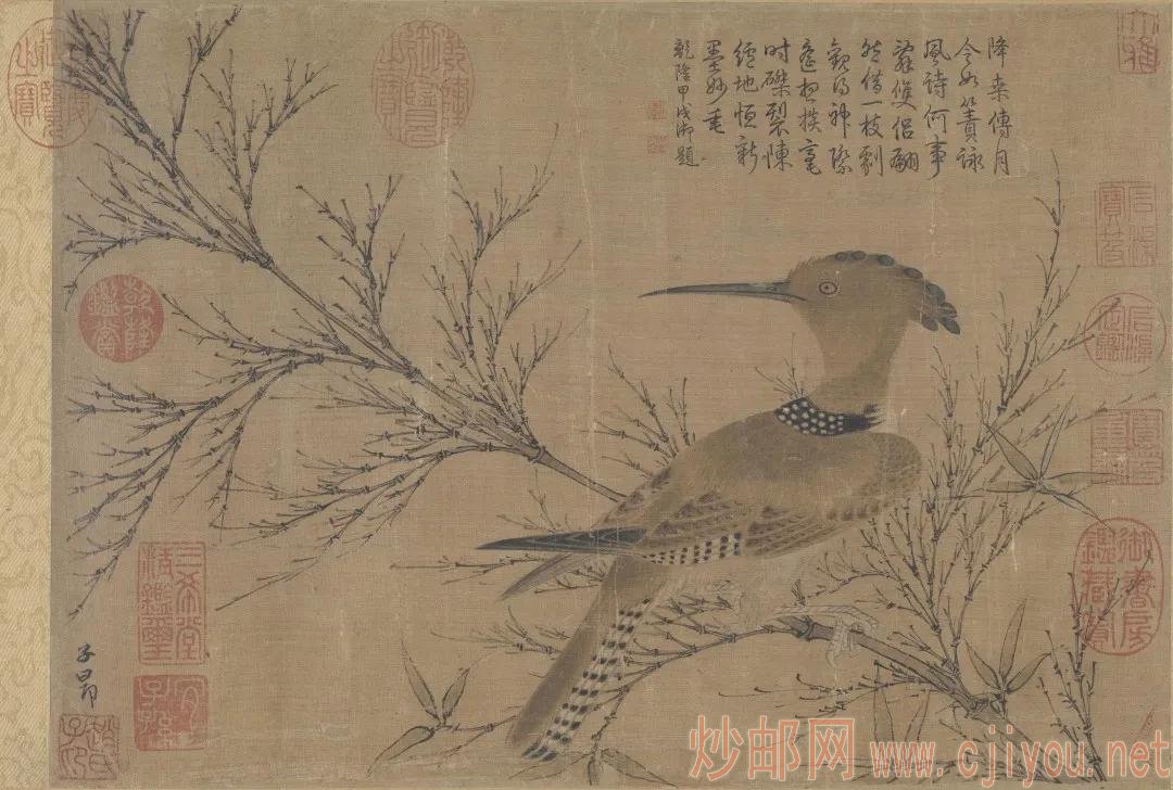 Ԫ&nbsp; �����\&nbsp; &nbsp;�����ʤͼ���ֲ���