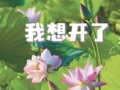 ˮ�L��������۹�����������ͷ��ǧ�����������֣�