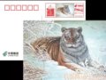 “虎福临门”数字化防伪邮资机宣传戳（自贴型）12月22日启用