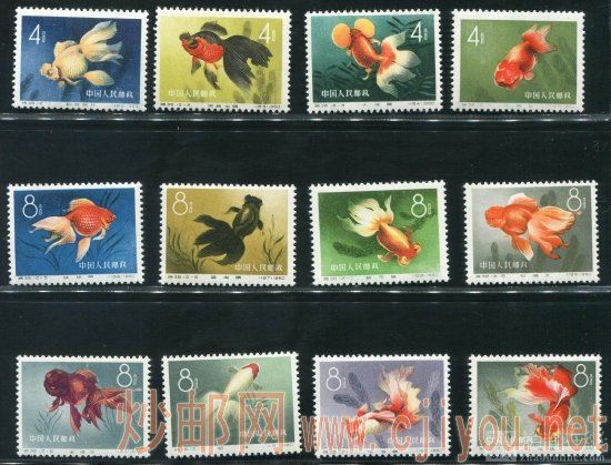 ��38������ȫ��ȫƷ��