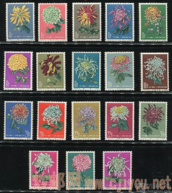 ��44�ջ���ȫ��ȫƷ��